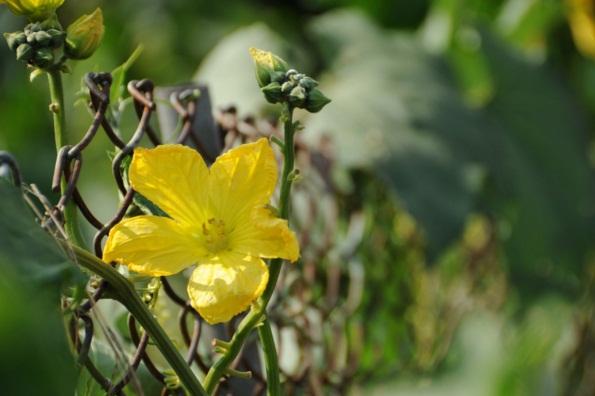 發朋友圈正能量激勵人的句子