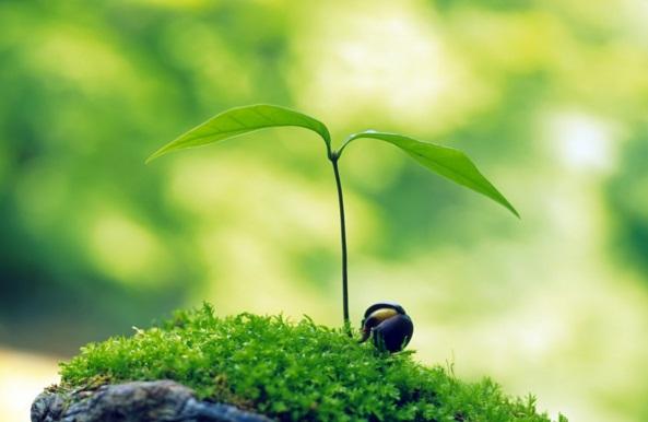 發朋友圈正能量激勵人的句子