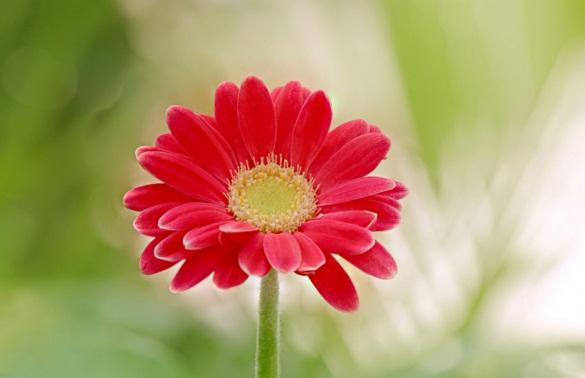 發朋友圈正能量激勵人的句子