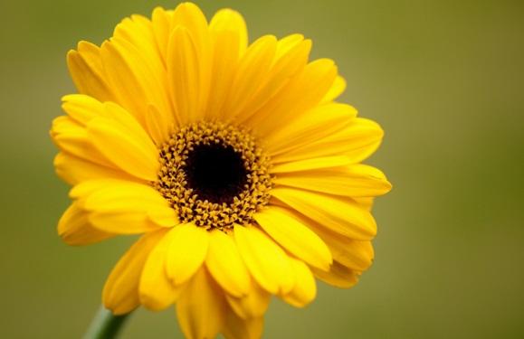 發朋友圈正能量激勵人的句子