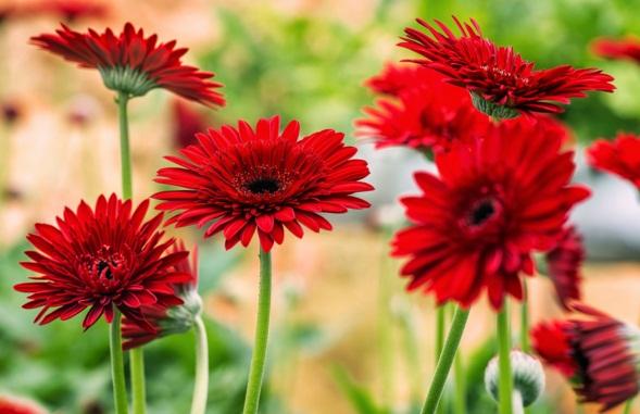 發朋友圈正能量激勵人的句子