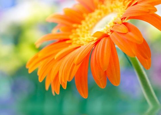 發朋友圈正能量激勵人的句子