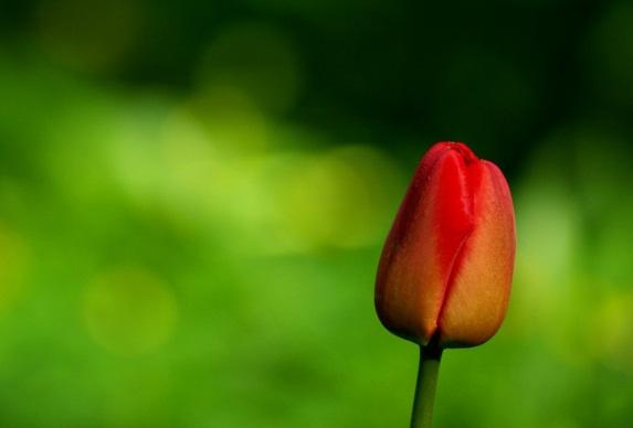 發朋友圈正能量激勵人的句子