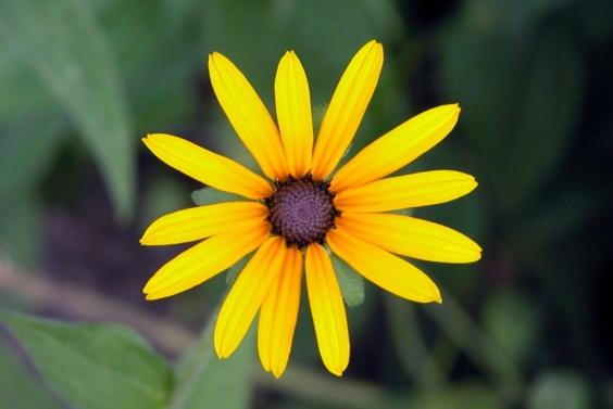 發朋友圈正能量激勵人的句子