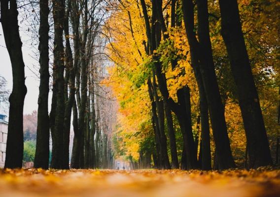 早安心語帶圖片的優美句子