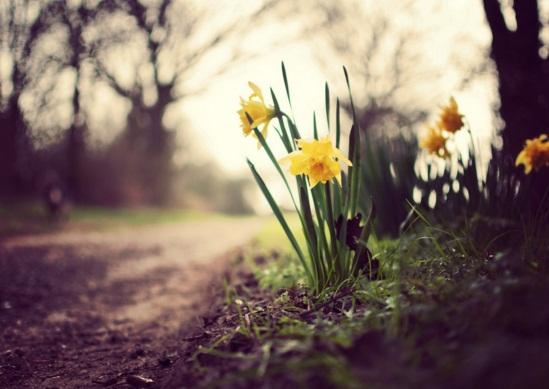 早安心語帶圖片的優美句子