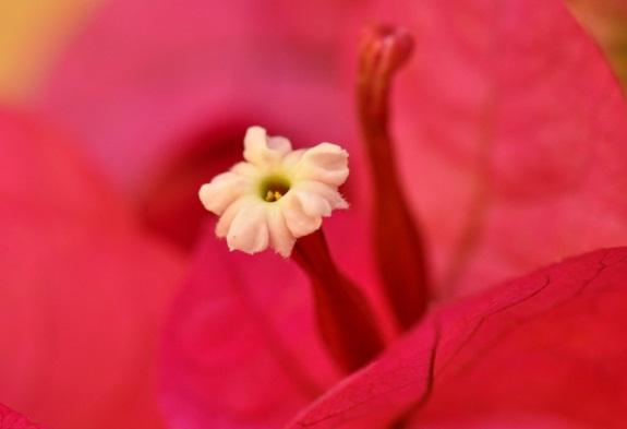 早安心語帶圖片的優美句子