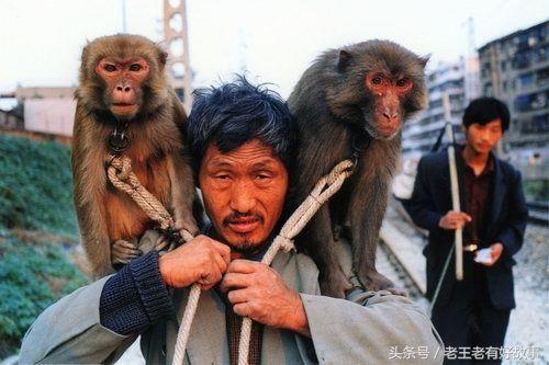 猴子總向人流淚,這事有些蹊蹺,等揭開猴皮,裡面竟是個孩子