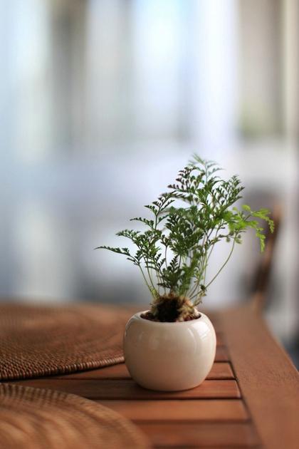 能栓住一個女人的，未必是愛情，而是呵護