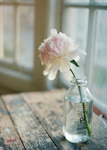 能栓住一個女人的，未必是愛情，而是呵護