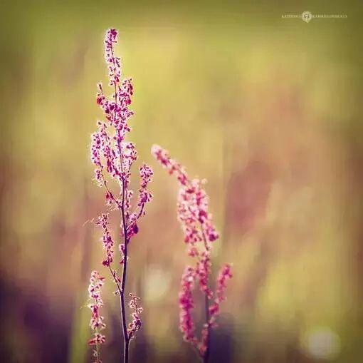 人生要有阳光般的心态 102Like