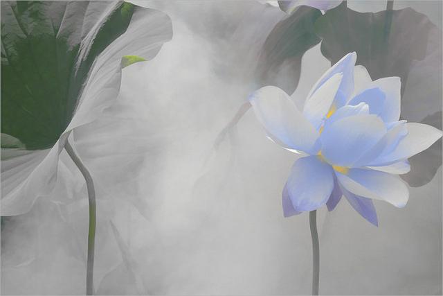 層次越高,活的越簡單