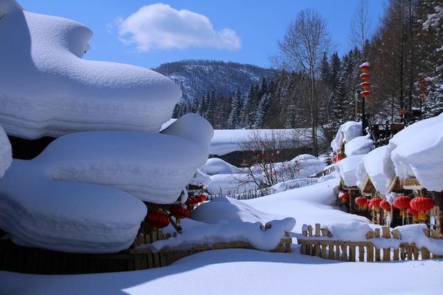 3月11日的雪鄉雪景，比冬天的雪還美！