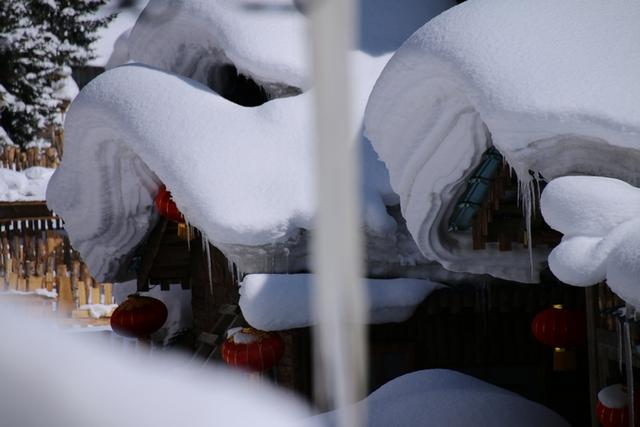 3月11日的雪鄉雪景，比冬天的雪還美！