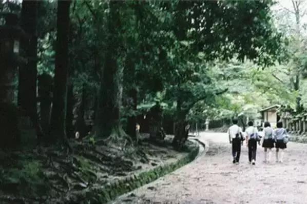 寫給我們逝去的青春