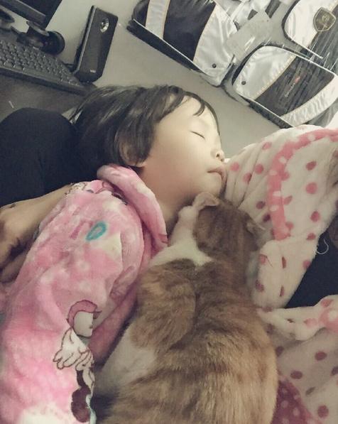 主人帶貓咪去醫院打針,結果貓咪一臉委屈緊緊依偎在主人懷裡