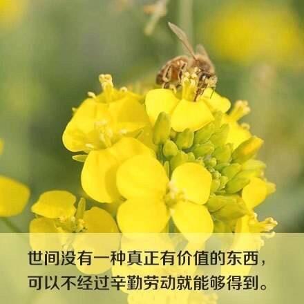 人生苦短,開心最重要