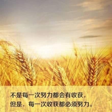 人生苦短,開心最重要
