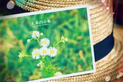 你一秒就忘記的句子,我卻保存了十年