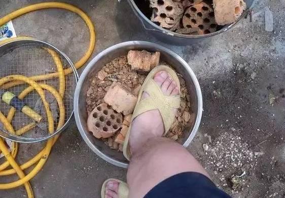 養花很費錢？ 其實很多錢都可以省的！