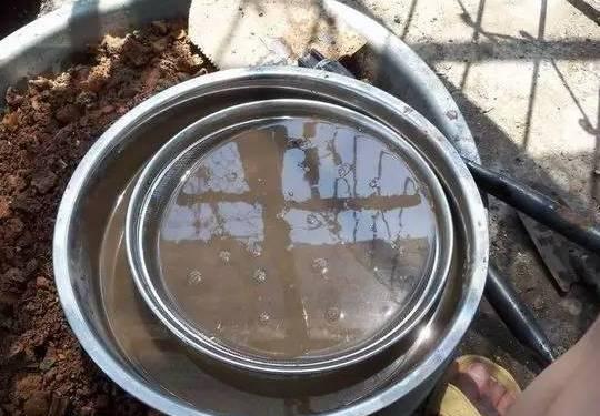 養花很費錢？ 其實很多錢都可以省的！