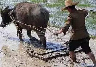 請善待你職場上的這六個貴人
