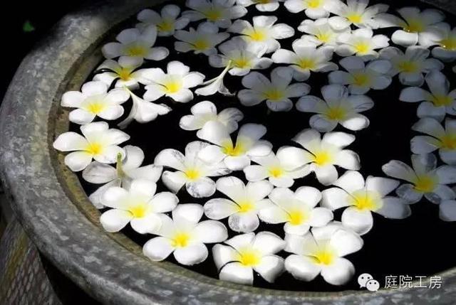 庭院風格|絢麗的自然主義,細說東南亞風格庭院的打造!