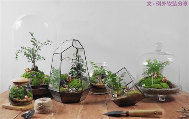 別再花錢買普通的花盆了,這才是種花神器!