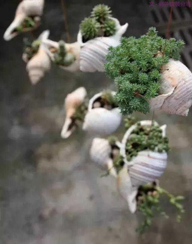 別再花錢買普通的花盆了,這才是種花神器!