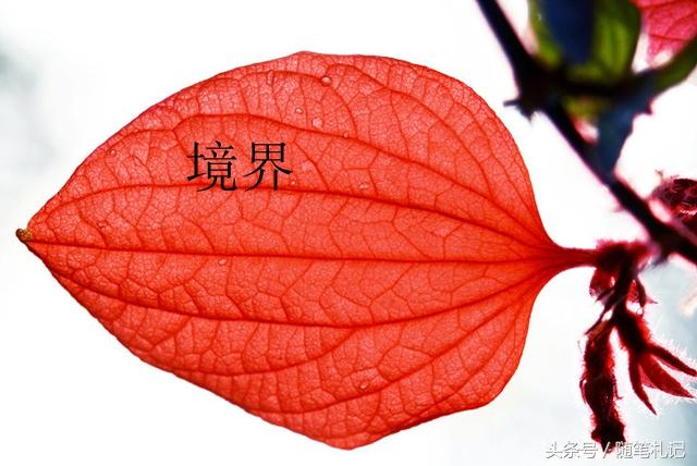 做人的境界,說的真好