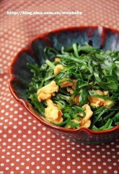 春天的韭菜最鮮嫩,這麼吃準沒錯