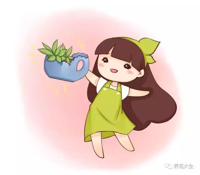花盆比花還貴? 別買了! 一把剪刀就能做一堆!