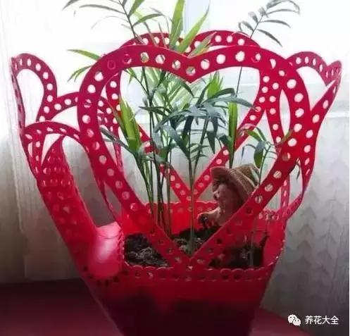 花盆比花還貴? 別買了! 一把剪刀就能做一堆!