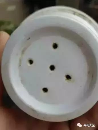 花盆比花還貴? 別買了! 一把剪刀就能做一堆!