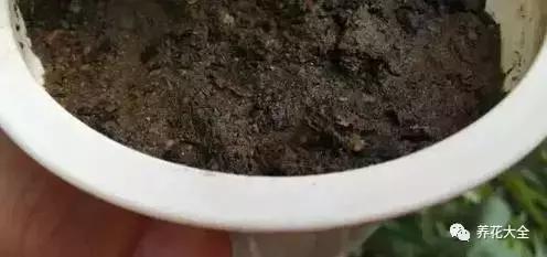 花盆比花還貴? 別買了! 一把剪刀就能做一堆!