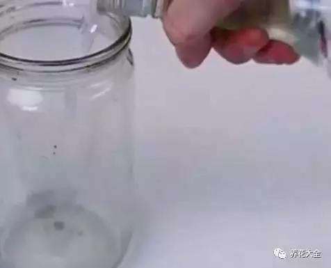 花盆比花還貴? 別買了! 一把剪刀就能做一堆!