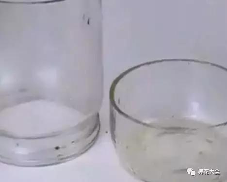 花盆比花還貴? 別買了! 一把剪刀就能做一堆!