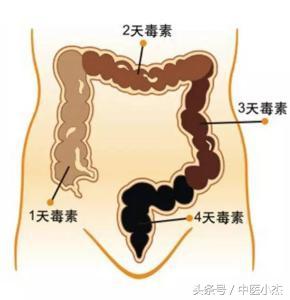 一顆大白菜，用這個神奇的吃法便是清腸排宿便之利器