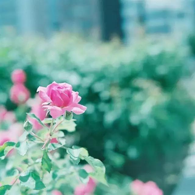 清醒(寫的真好)