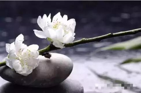 最可深交的4個朋友和5種人