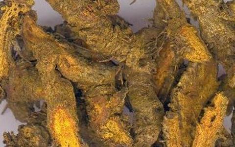 治多尿多飲、降血脂、穩血糖，每天只要3克的它就夠了