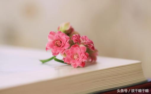 睡覺前，我想這些句子，總會有一句讓你發到朋友圈