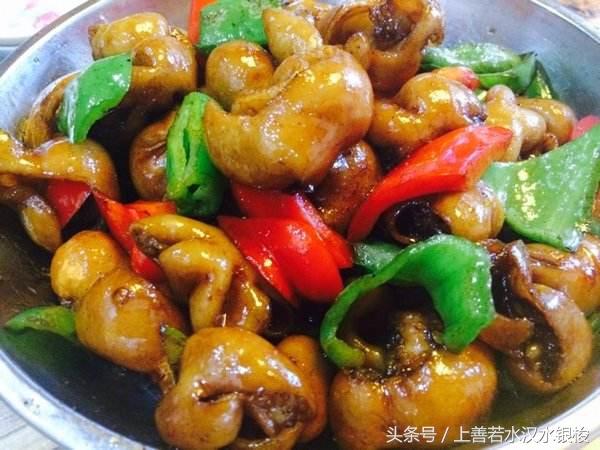 6道相當好吃的家常下飯菜,第二道雖然清淡,但是也挺好吃