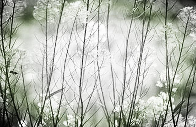 千萬不能等、靠、要，人生需要幹、爭、做！