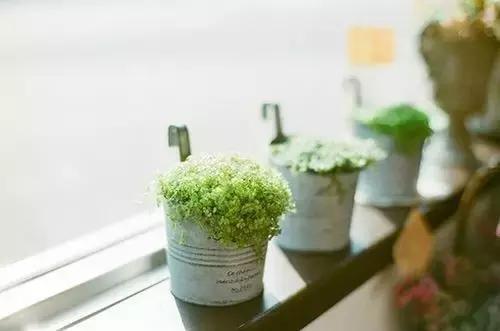 有格調的媽媽,才是這個時代的奢侈品