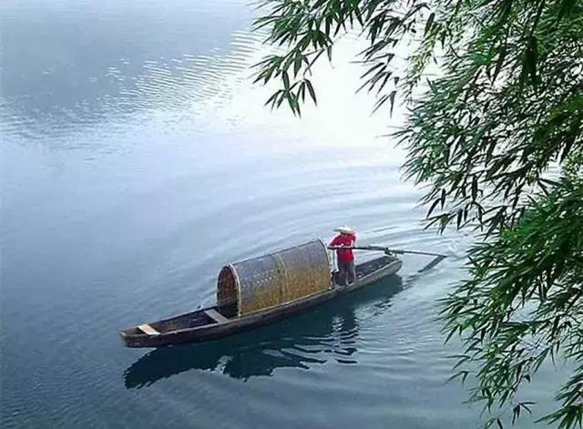 人,要有一顆乾淨的心(寫的真好)