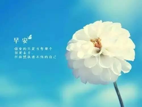 早安心語:美好的一天,從努力開始