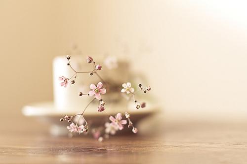 20條感悟人生的經典短句,句句入心