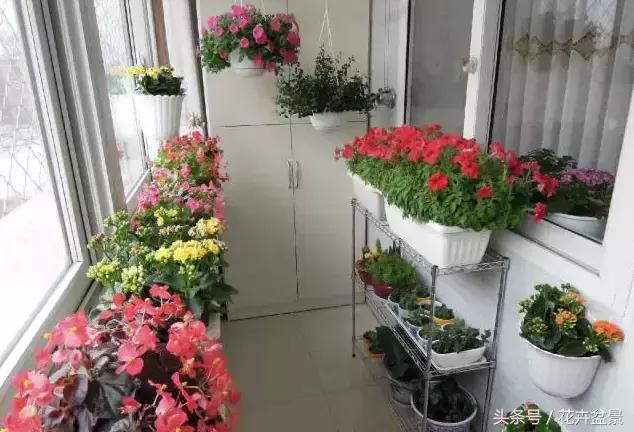 對於養花這件事,我們是認真的