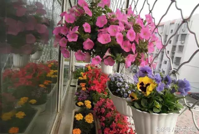 對於養花這件事,我們是認真的
